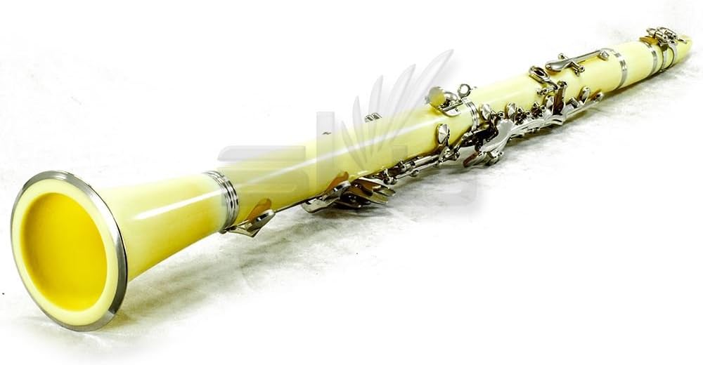 SKY Yellow ABS Student Bb Clarinet with Case, Mouthpiece, 11 Reeds, Care kit and more
