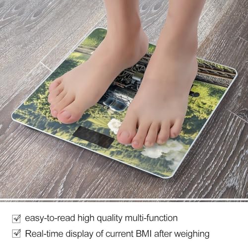 Báscula digital de baño con plataforma amplia y pantalla LCD miniatura 5