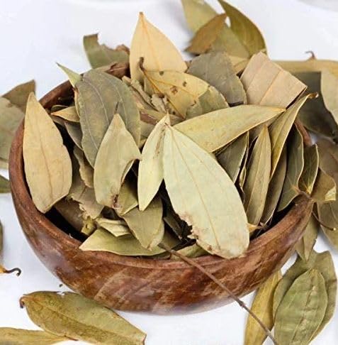 Indian Sweet bay trees pack of 1