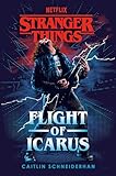 Stranger Things: Flight of Icarus