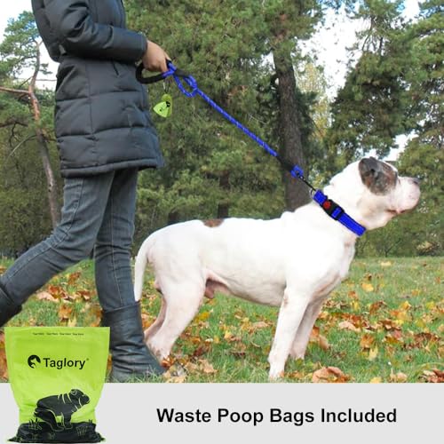 Taglory Hundeleine mit bequemen gepolsterten Griff, robuste Hundeleine zum Trainieren und Gassi gehen, 150×1.2cm Reflektierend Führleine aus weichem Nylon für große Hunde,dunkelblau