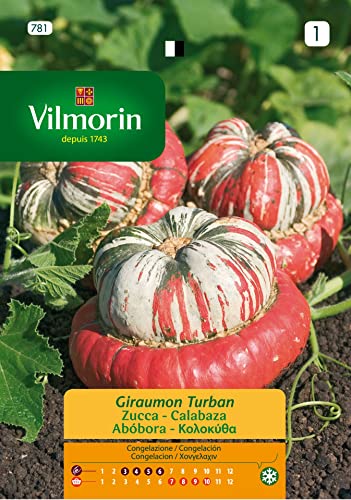 Semillas de CALABAZA GIRAUMOND TURBAN S-1 786, 4 gr