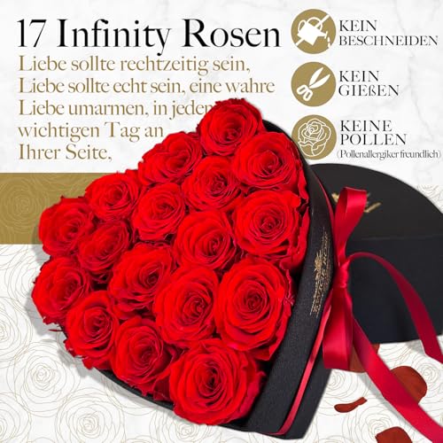 QHHENTOO 17 Infinity Rosen, Ewige Rot Rose Geschenke für Frauen, Konservierte Rose in Herzbox für Frauen Mutter zum Geburtstag Jahrestag Valentinstag Muttertag Weihnachten Hochzeitstag Rosenbox