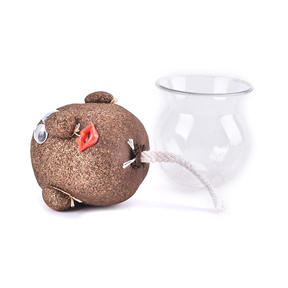 Lot 3 Mini Bonsaï Anti-Moustique Tête D'Herbe – Plantes Poupées Magiques Qui Poussent Dans L'Eau