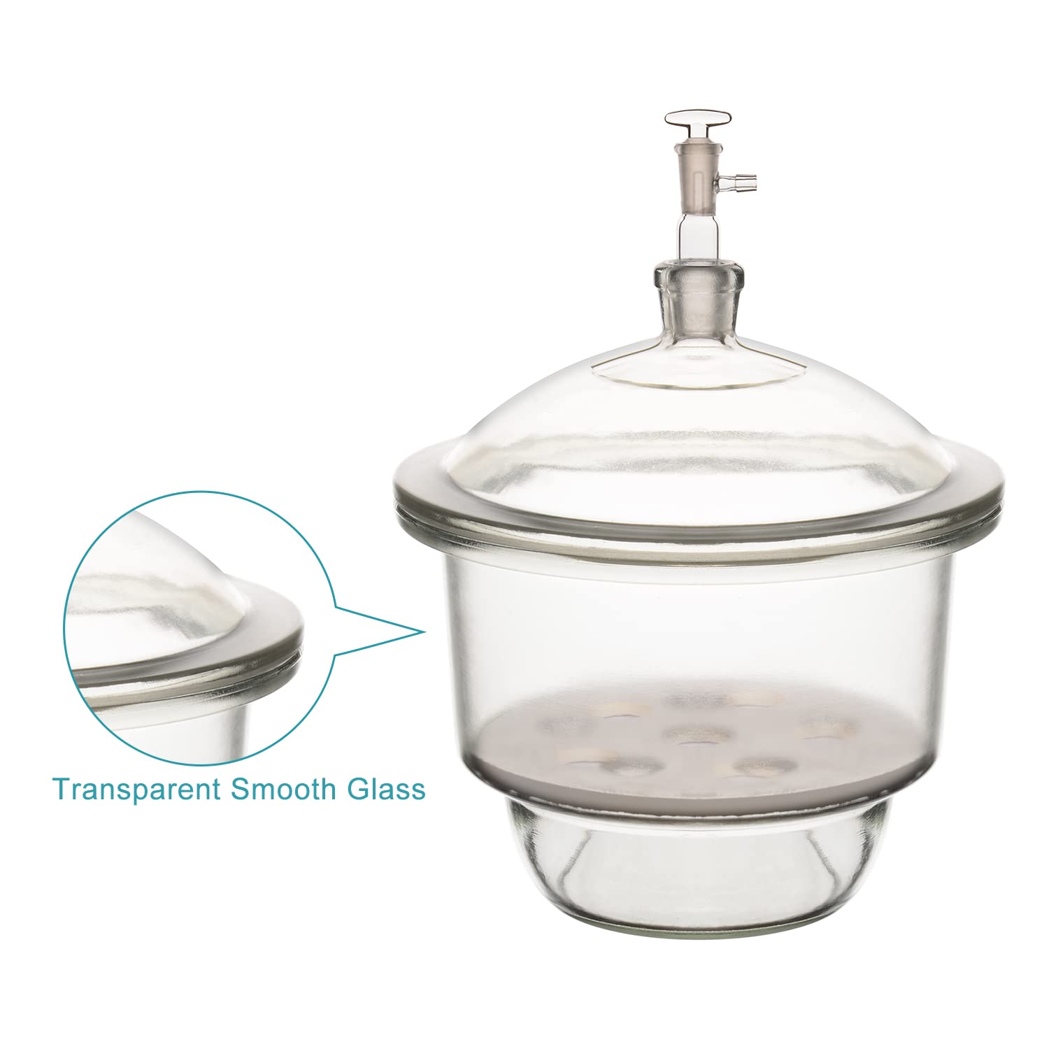 stonylab Dessiccateur Sous Vide en Verre, Laboratoire avec Vanne de Vide en Verre et Plaque de Porcelaine de ID:240 mm pour la Recherche en Laboratoire