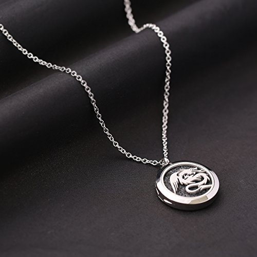 Giono Stainless Steel Pet Love Dragon Aromatherapy Essential Oil Diffuser Necklace Carving Locket Pendant,10 Felt Pads #TOP2