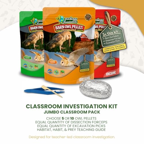 Image of Barn Owl Pellets for Dissection for Classrooms, Large 5-Pack Kit by OBDK | Forceps, picks and instructor guide included, life science and ecology, bone sorting chart, hands-on lab activity