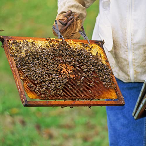 MONCAP 2 Stück Imkerei Bienenstock Schaber Bienenkorb Rahmen Griff Lifter mit Holzgriff Edelstahl Schaber Bienenstock… – Bild 5