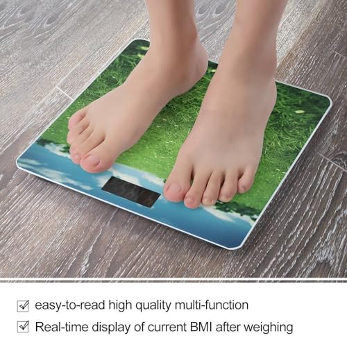 Báscula Digital de Baño Green Lawn Peso Corporal Precisa 400lb miniatura 5