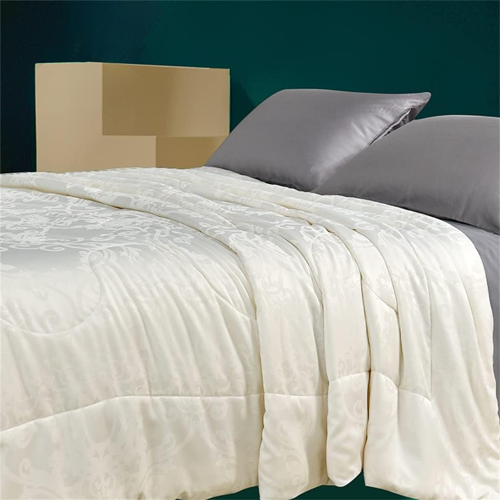 Silk Comforter Silk Duvet Silk Quilt Natural Silk Bedding Cool Blanket for Machine Washable(220 * 240CM)