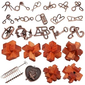 24 Pcs Brain Teaser Puzzles for Adults – Metal Puzzles 3D Puzzle Game Toys for Adults Teens – Wooden Unlock Interlocking Puzzle Adult IQ Education Puzzle Toys Smart Toys