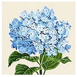 lxmydm Pintura por números para adultos, pintura al óleo DIY, flores por números, pinturas...