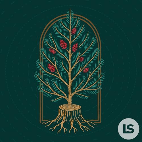 Grace for the Seeker &middot; Matthew 2:1-12