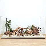 AquaOne Aquarium Deko Komplettset Steine Wurzel Aquascaping Hardscape Set Nr.32 Dekoration Wasserpflanzen