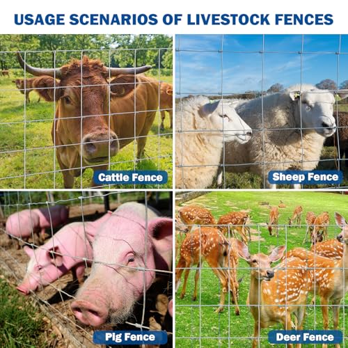 Farm Fence, 4ft x 164ft Galvanized Wire Fencing with Heavy Zinc Coating, Woven Hog Wire Fence for Cattle, Deer, Sheep, Goat, Livestock & Animals Protection, Fencing for Yard, Cattle Panel by HMOLIKH - Image 5