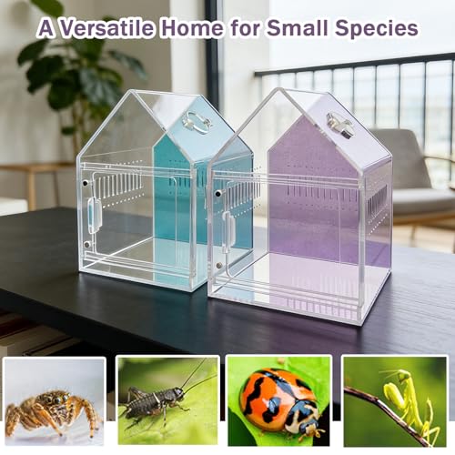 Image of Magnetic Acrylic Spider Enclosure 5.3x5.3x7.3 Inch, House Shape Terrarium with Sparkling Purple Background for Jumping Spiders, Tarantula Slings & Mantis, Escape-Proof Habitat with Ventilation