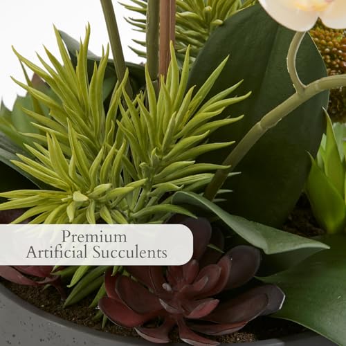 Image of CG Hunter Faux Orchid Plant w /Succulents, Premium Artificial Indoor Flower Display Stands 24 inch w /Beautiful Sculptural Blooms and Succulents That Lasts Forever, Grey Planter Pot Included