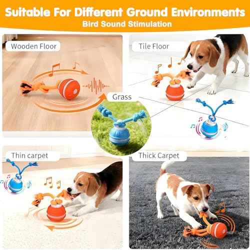JWKPA Interactive Dog Toys,Dog Ball Toy with Squeaky Birdsong Sound and Stimulation,Automatic Motion Activated Dog Toy for Boredom,Indoor Outdoor Pet Exercise Toy for Small/Medium Dogs(Blue) by JWKPA - Image 3