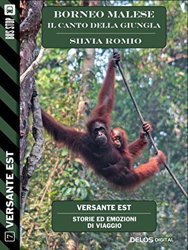 Borneo Malese - Il canto della giungla (Versante Est) Borneo Malese - Il canto della giungla (Versante Est)