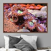 Framed Canvas Wall Art Deep Under Group Jellyfish Marine Life Multicolor Photography Realism Tropical Ultra Whimsical - 16x24 inches