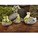 Top Collection Miniature Fairy Garden and Terrarium Statue, Frog Friends on Stone