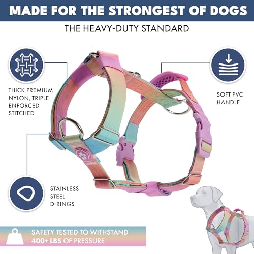 Image of Spark Paws No Pull Dog Harness with Handle for Large Dogs, Heavy Duty Dog Harness for Big Strong Breeds, Adjustable, Y Shaped Padded Halter Design with Front Clip- Pastel Icing - M