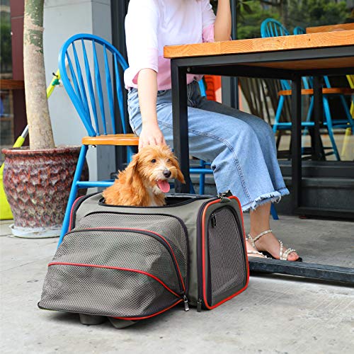 Petsfit Expandable Cat Carrier Dog Carriers,Airline Approved SoftSided