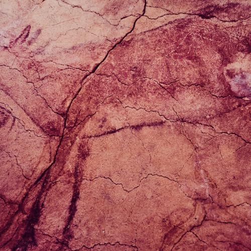 Ubi sunt. Arqueolog&iacute;a en Radio 5 - Habitaci&oacute;n con cocina y 16.000 a&ntilde;os - 31/12/23