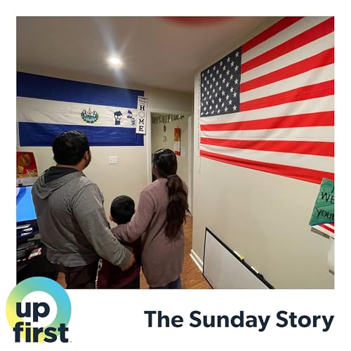 Fear and Dreaming in the USA Podcast Por  arte de portada