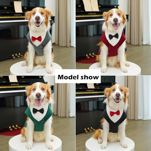 Disfraz formal para perro talla L 4 piezas miniatura 4