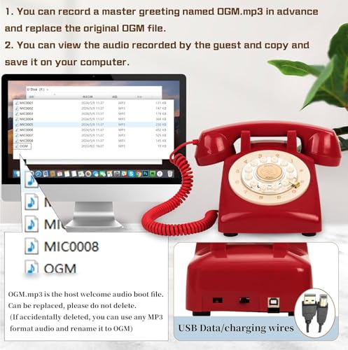 Image of Audio Guest Book Wedding Phone,32GB Memory Customized Audio Messages, Volume Adjustable, with Message Replay Feature, Suitable for All Kinds of Party(Red+Golden Sign)
