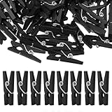 DECORNIJIA Wäscheklammern 2,5cm Kleiner Holzklammern 100 Stück Bunt Rostfrei Vielseitige Fotoklammern für Dekoration und Basteln