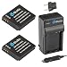 EforTek DMW-BCM13 Replacement Battery (2-Pack) and Charger kit for Panasonic DMW-BCM13, DMW-BCM13E, DMW-BCM13PP and Panasonic Lumix DMC-FT5, DMC-LZ40,DMC-TS5, DMC-TZ37, DMC-TZ40, DMC-TZ41, DMC-TZ55,DMC-TZ60,DMC-ZS27, DMC-ZS30,DMC-ZS35,DMC-ZS40