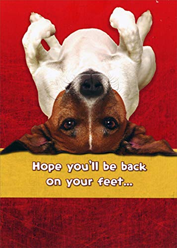 Designer Greetings Upside Down Dog Back On Your Feet Funny/Humorous Get Well Card