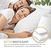 DreamNorth PREMIUM Gel Pillow Loft (Pack of 2) Luxury Plush Gel Bed...