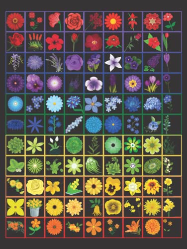 Journal: Gorgeous Rainbow Floral Hardcover, 300 Pages, 8.25 x 11