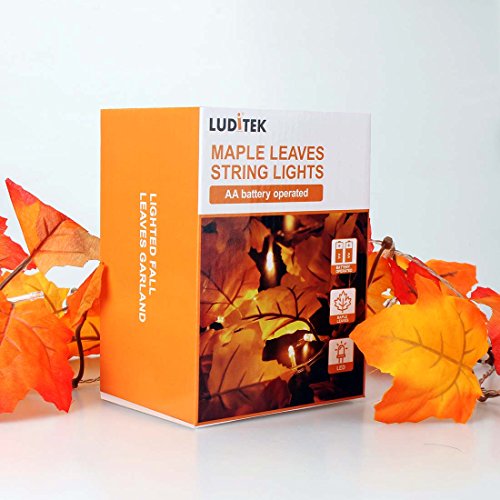 Thanksgiving Decorations Lighted Fall Garland, Thanksgiving Decor Halloween String Lights 8.2 Feet 20 Led, Thanksgiving Gift Fall Decor For Home Holiday Autumn Garland Indoor #TOP6