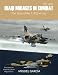 Iraqi Mirages In Combat: The story of the F.1EQ in Iraq