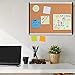 Amazon Basics Cork BulletinBoard, 23