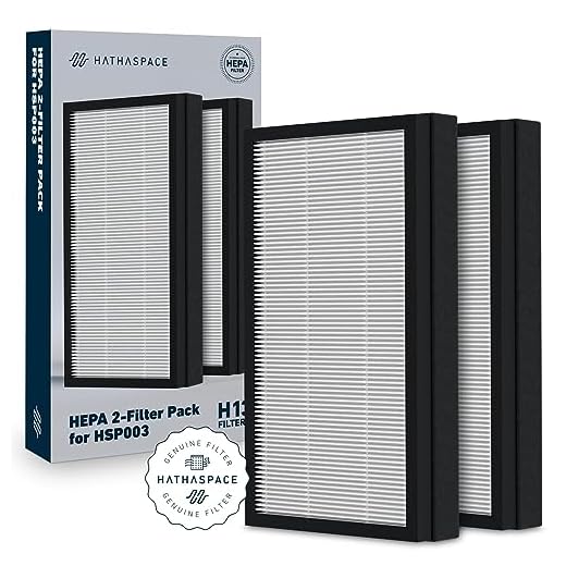 HATHASPACE Certified Replacement Filter for HSP003 Dual Filtration HEPA Air Purifier, 1 Set (H13 True HEPA)
