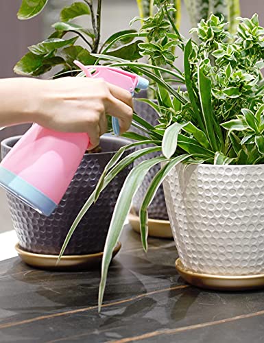Klevsoure 10 Inch Plant Pot With Drainage And Saucer, 7.5 Inch Ceramic Indoor Pot Plant, White Honeycomb Pattern Big Flower Planters Outdoor, Large Plant Pot Set (10"+7.5" And Gold Saucer Included) #TOP6