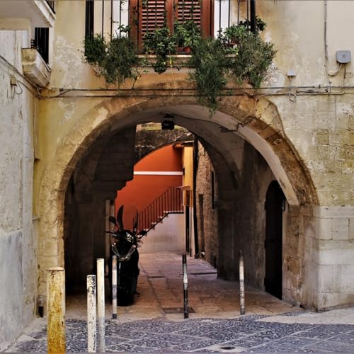 Arco delle streghe - Storie Inspiegabili