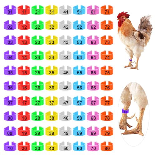 80 Pc Numbered Leg Rings