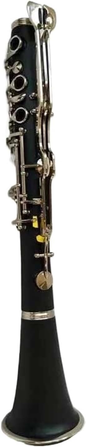 Clarinet With Case G Key Hard Rubber Nickel Plated