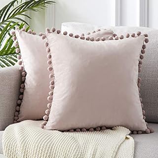 Top Finel Decorative Throw Pillow Covers 18 x 18 Inch Soft Particles Velvet