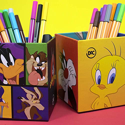Kit com 2 Peças Organizador Grande Looney Tunes - 3757