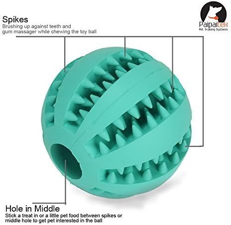 Paipaitek Nature Rubber Chewing Dog Toy Ball Spike Dental Care Gums Massage Treat IQ Training Bounce Ball for Pet Mint Green