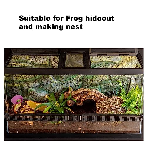 Image of 2Pcs Egg Shaped Frog Habitats with Suction Cups - Cute Frog Terrarium & Dish Holder, Ideal for Tree Frogs, Toads & Tadpoles