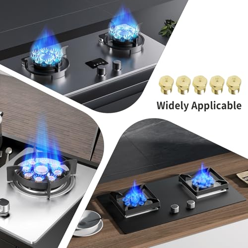 10 Stück Butangasdüsen Universal Set für LPG Propan Butan Brenner, Messing Universal-Gasdüsen-Einspritzdüsen M6x0.75 Gewinde 0.5 0.65 0.7 0.87 0.95 mm, für Gaskochfeld Campingkocher Gasherd