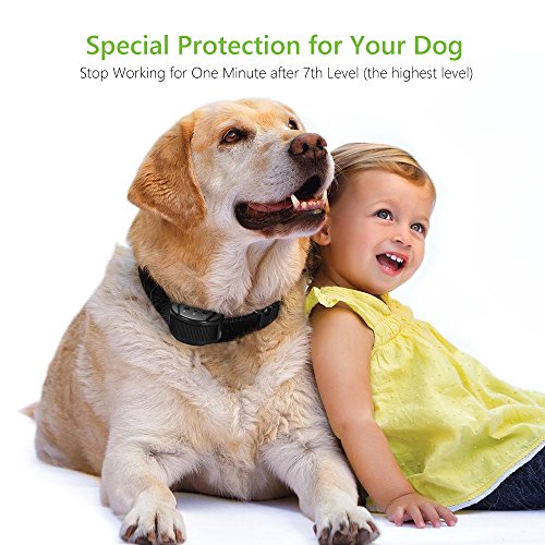 Petist No Bark Shock Collar, Electronic Dog Anti Bark Collar, No Harm Sound And Shock Control Pet Training System For Dogs, Small/Medium/Large #TOP6
